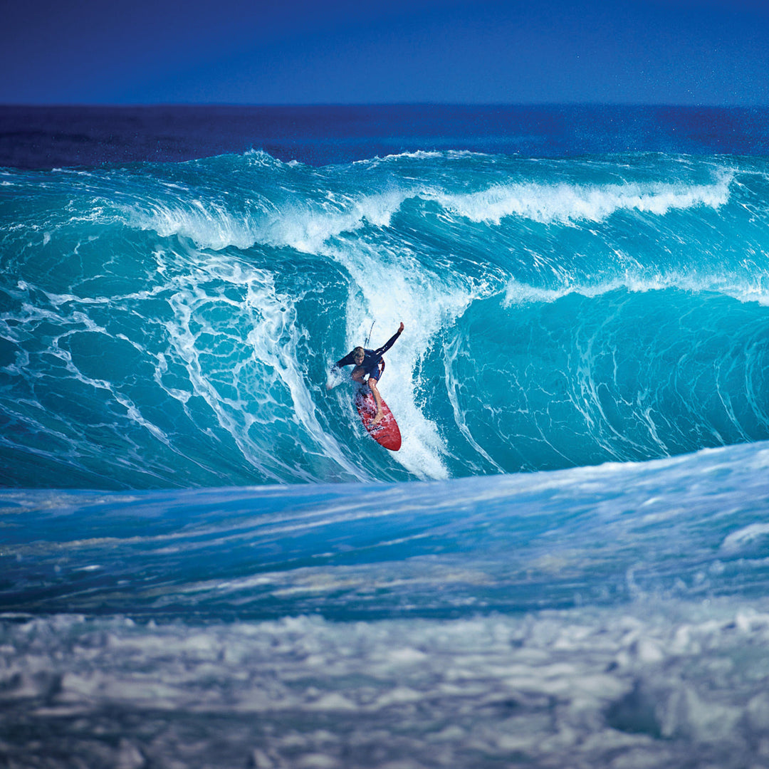 Color:Dark Blue-Florence Burgee Waypoint Boardshort -alt